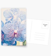Orchid Abstract Postcards