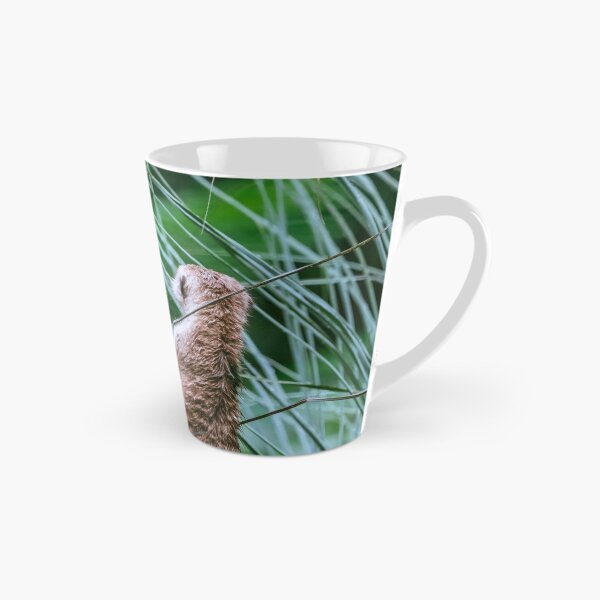 Item preview, Mejores amigos - MeerKats Photograph designed and sold by JLaZZ447.