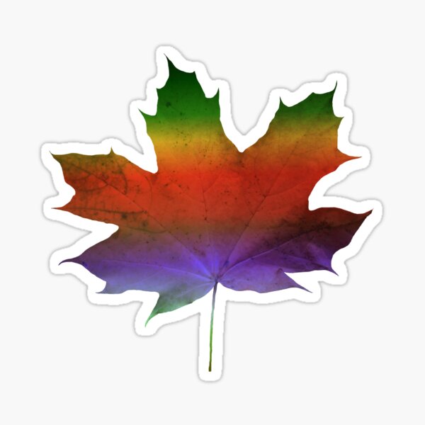 wundervolles, buntes Ahorn - Blatt, Herbst, Baum, Jahreszeit, Regenbogen Sticker