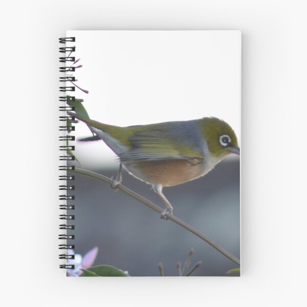 Item preview, Silvereye in my garden designed and sold by lizdomett.
