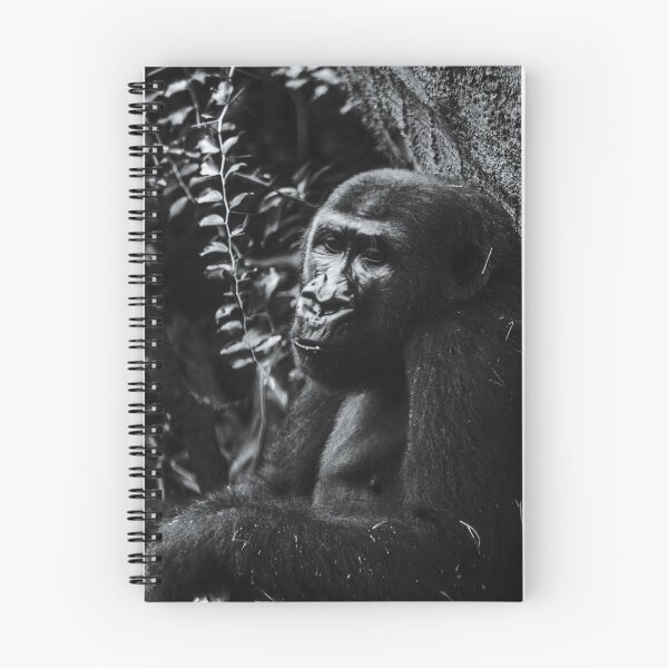 Item preview, Gorilla Harambe Portrait Photograph designed and sold by JLaZZ447.