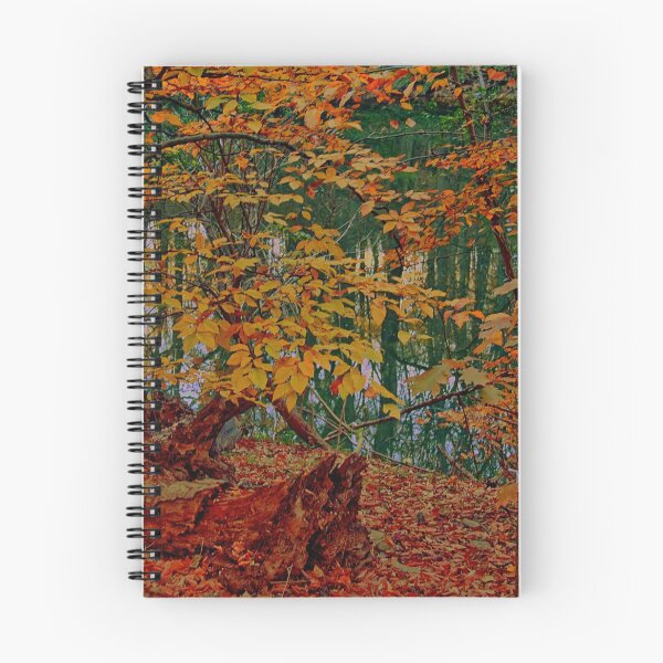 Item preview, Fallen tree at Fairmount Park designed and sold by vadim19.