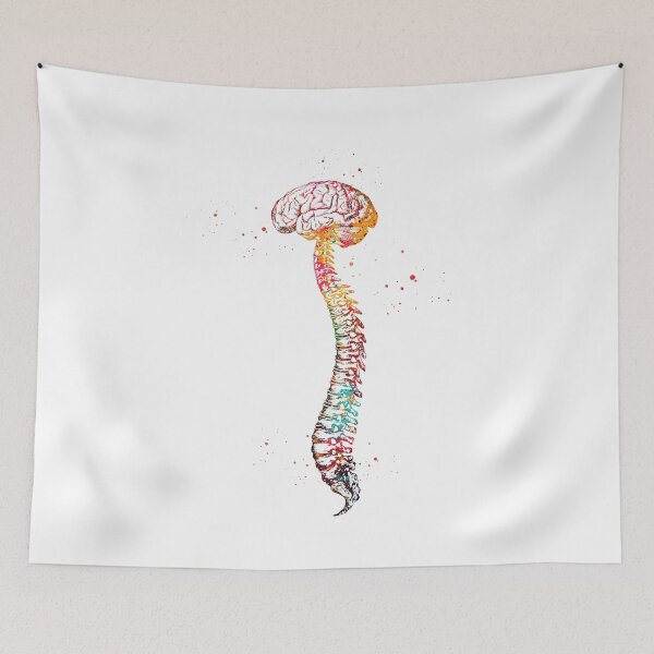 Item preview, Human Spine with Brain designed and sold by Liededrom..