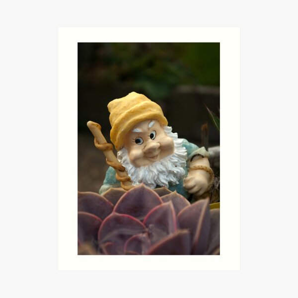 Sunnyboy the Garden Gnome Art Print