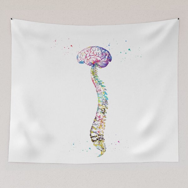 Item preview,  Human Spine with Brain designed and sold by Liededrom..