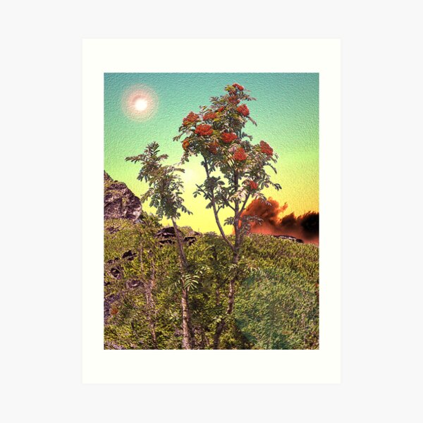 Art Print