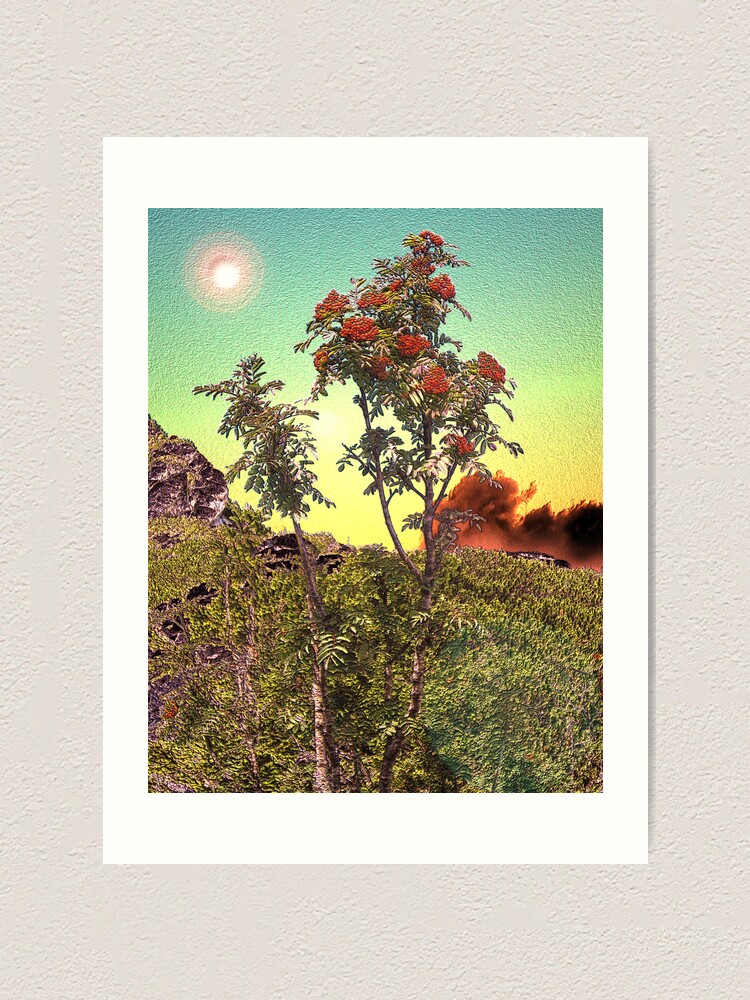 Thumbnail 1 of 3, Art Print, WILD FLOWERS designed and sold by TatianaMichaela.