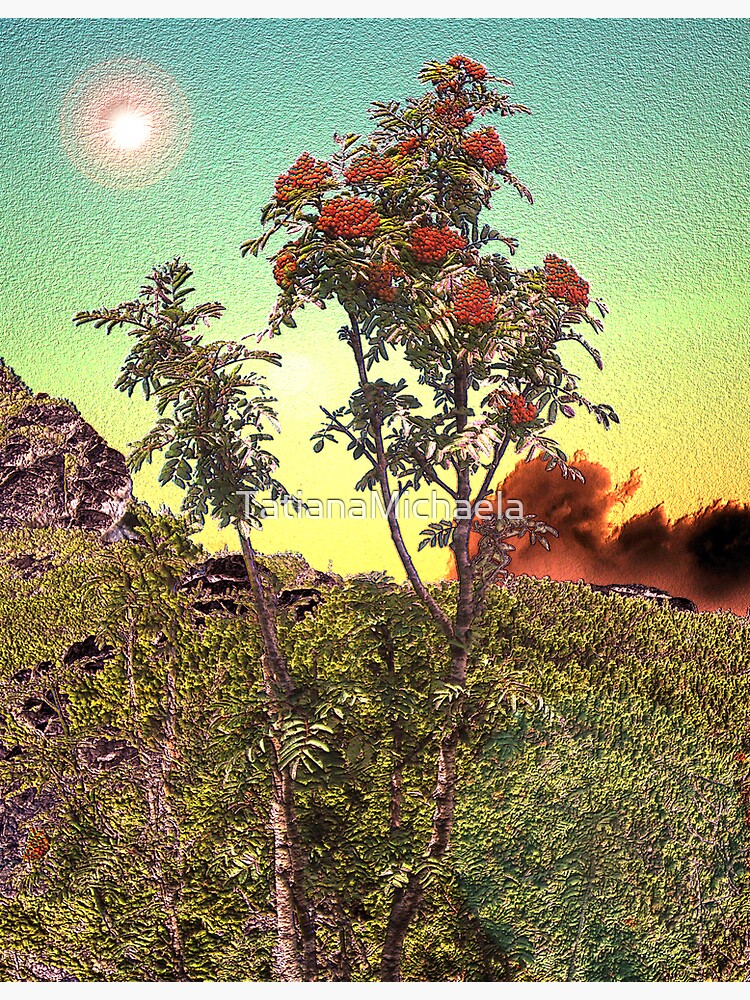 Thumbnail 3 of 3, Art Print, WILD FLOWERS designed and sold by TatianaMichaela.