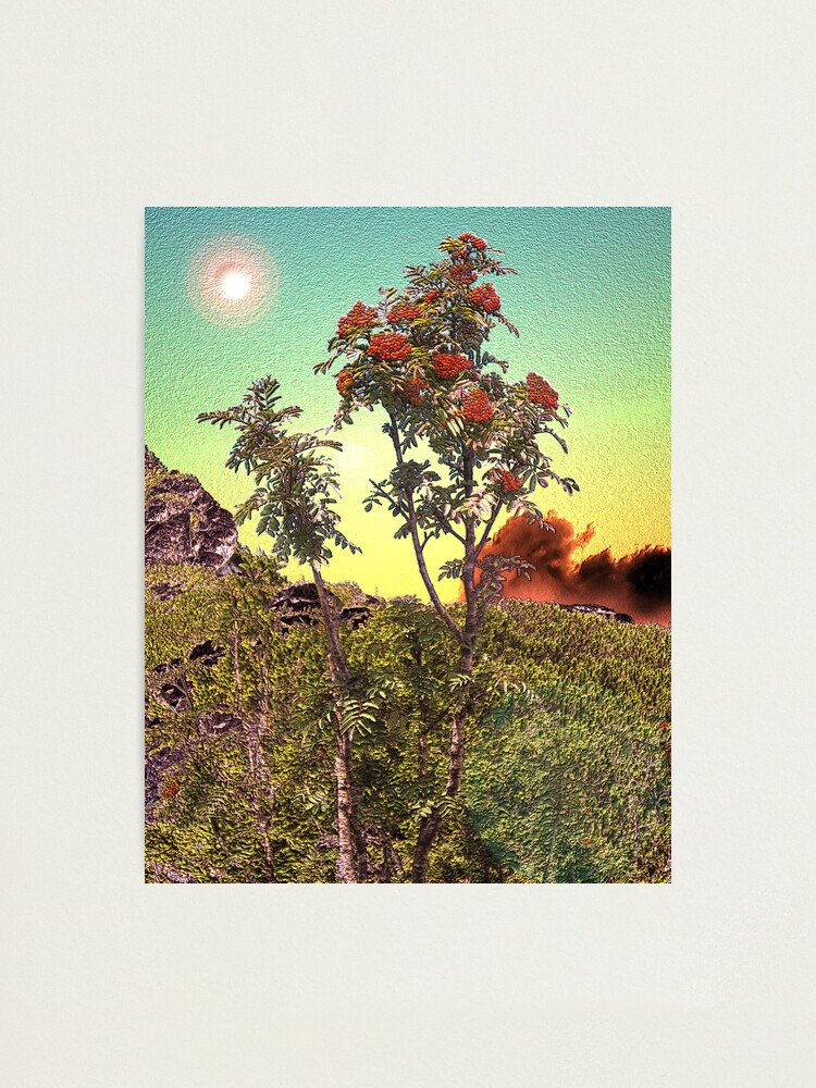 Thumbnail 1 of 3, Photographic Print, WILD FLOWERS designed and sold by TatianaMichaela.
