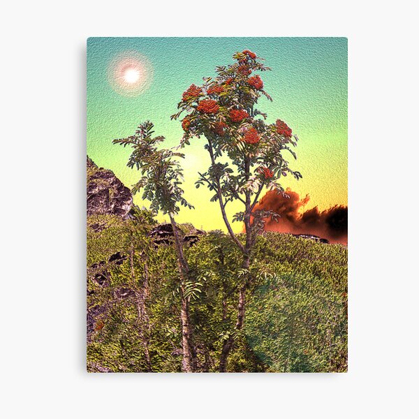 WILD FLOWERS Canvas Print
