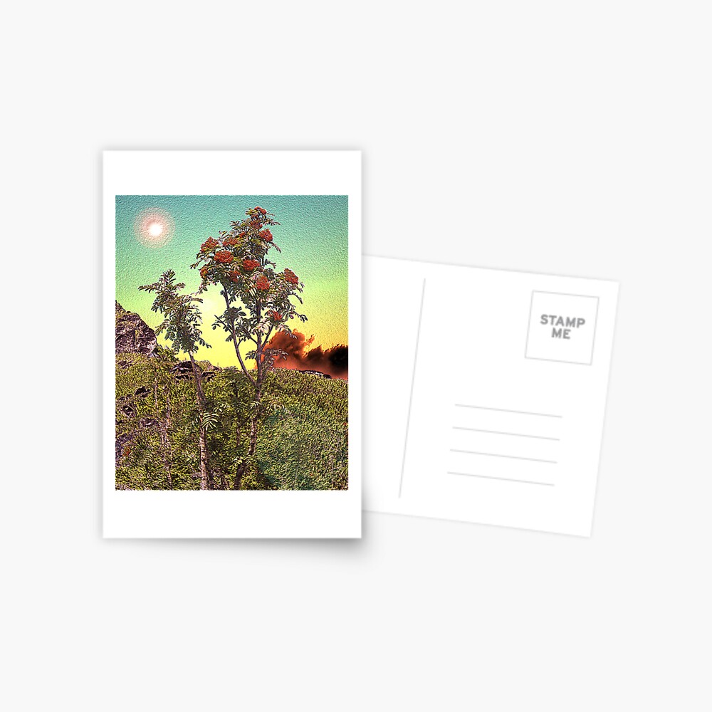 Item preview, Postcard designed and sold by TatianaMichaela.