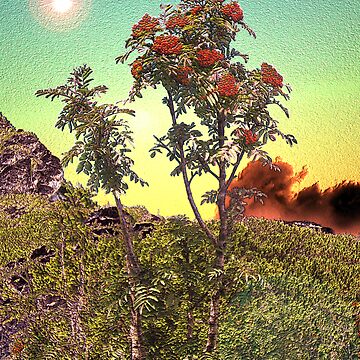 Artwork thumbnail, WILD FLOWERS by TatianaMichaela