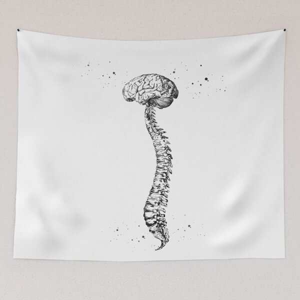 Item preview,  Human Spine with Brain designed and sold by Liededrom..