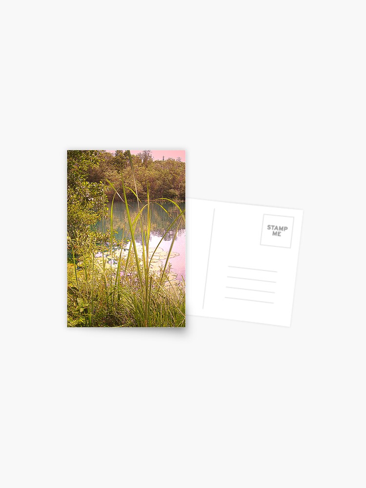 Thumbnail 1 of 2, Postcard, IN THE CORNER OF THE LAKE designed and sold by TatianaMichaela.