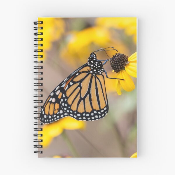 Item preview, Monarch 2018-24 designed and sold by Thomasyoung.