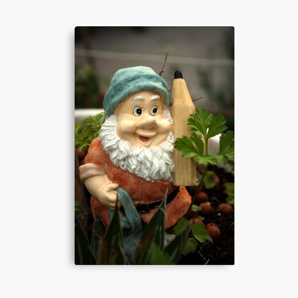 Doodlethumb the Garden Gnome Canvas Print
