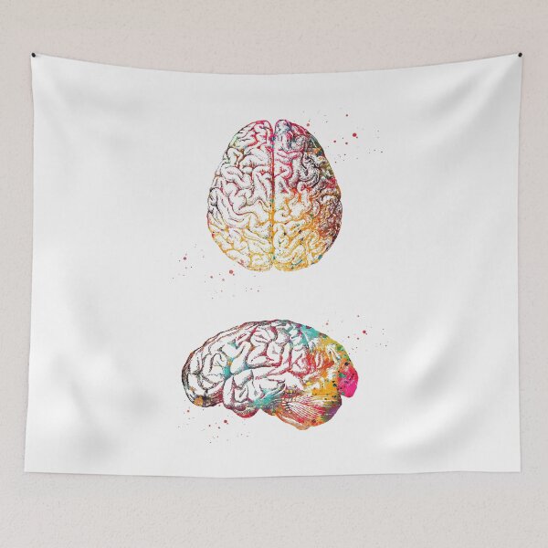Item preview, Human Brain designed and sold by Liededrom..