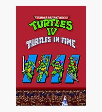 TMNT Turtles in Time Photographic Print