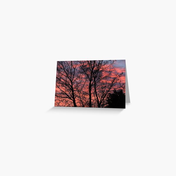 Aperçu de l'œuvre Winter dawn créée et vendue par Heather Thorsen.
