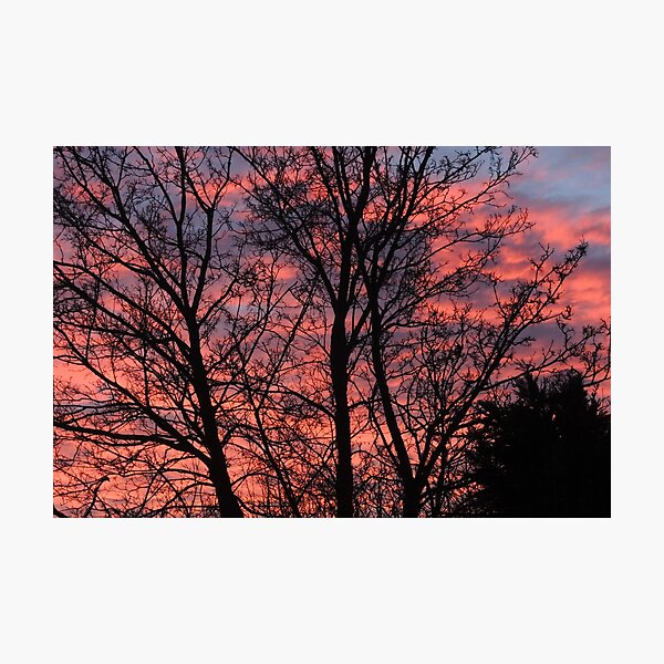 Winter dawn Photographic Print