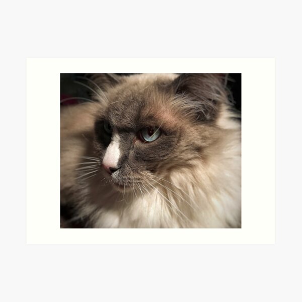 Jeeves Art Print