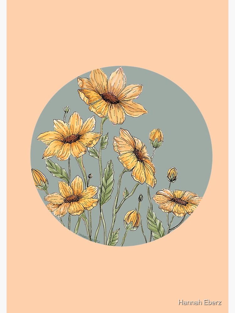 Sunflowers by hannaheberz