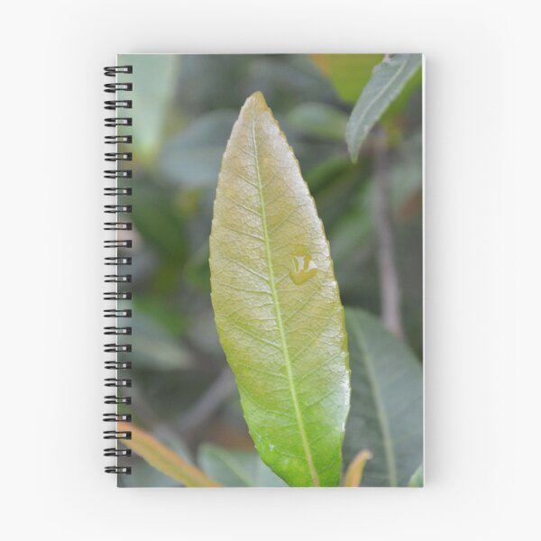 Item preview, Water On Leaf  designed and sold by cailinB.