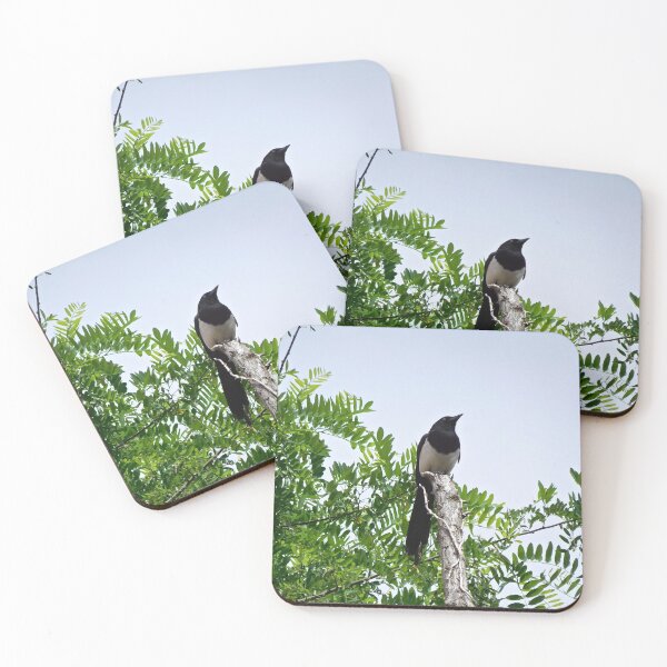 Item preview, Magpie in Tree, Spain designed and sold by HilaryLeslie.