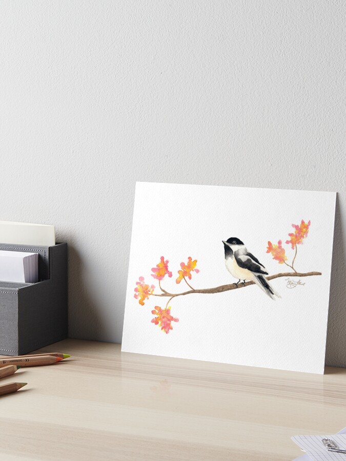 Chickadee 10x8 original bird art chickadee on a branch