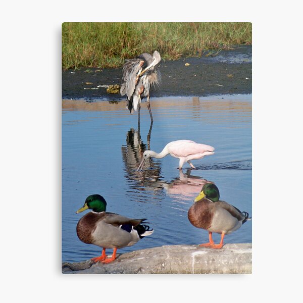 Frends at the beach Metal Print