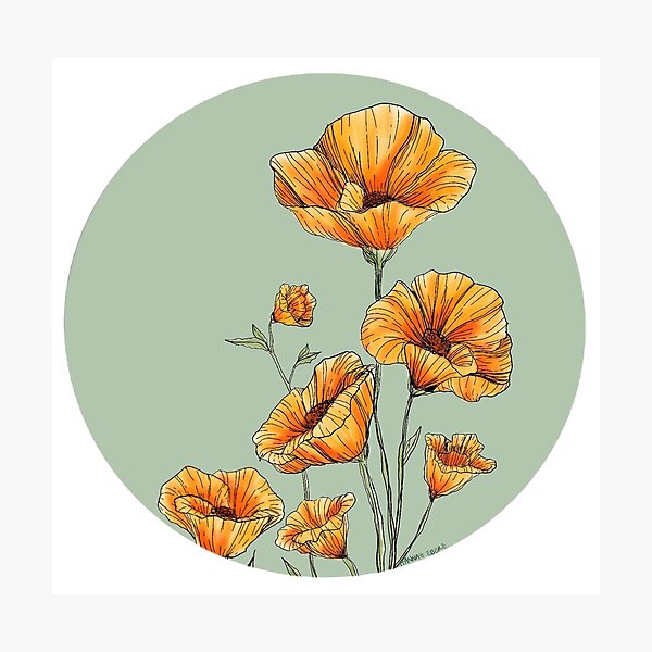 Item preview, California Poppies designed and sold by Hannah Eberz.
