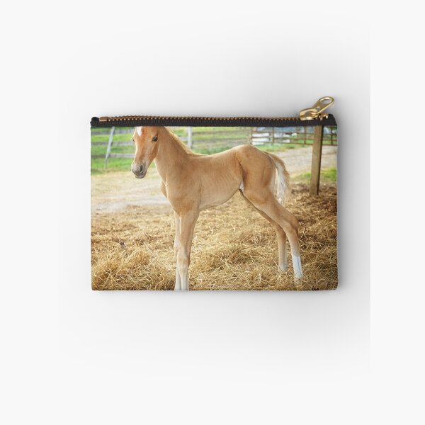 Item preview, "Encore, The Miracle Colt" designed and sold by Melinda Stewart Page.