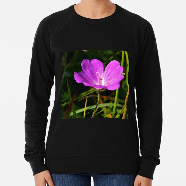 Cranesbill, Dun Eochla, Inishmore, Aran Islands Lightweight Sweatshirt