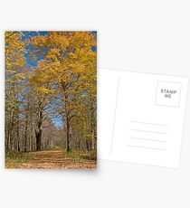 Along the path Postcards