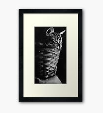 BasCat Framed Print