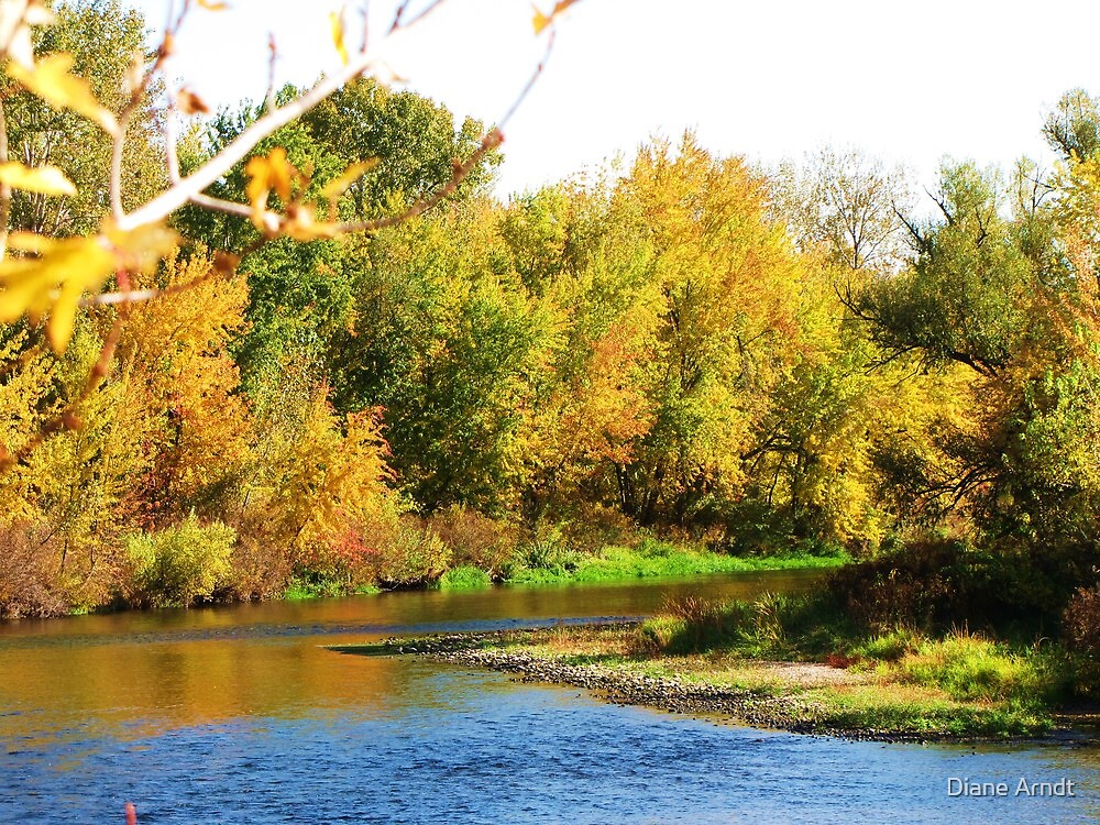 "Boise River Flowing Through Middleton, Id" by Diane Arndt Redbubble