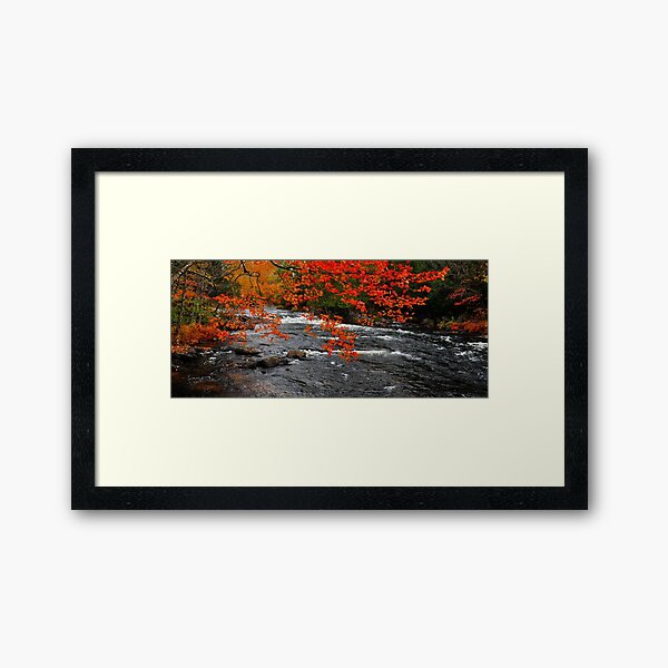 Oxtongue River Rapids Framed Art Print