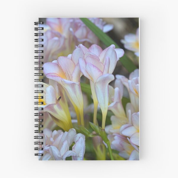 Item preview, Soft Toned Freesias designed and sold by Joy Watson - Natural Light Photography .