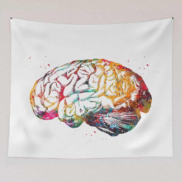 Item preview, Human Brain designed and sold by Liededrom..