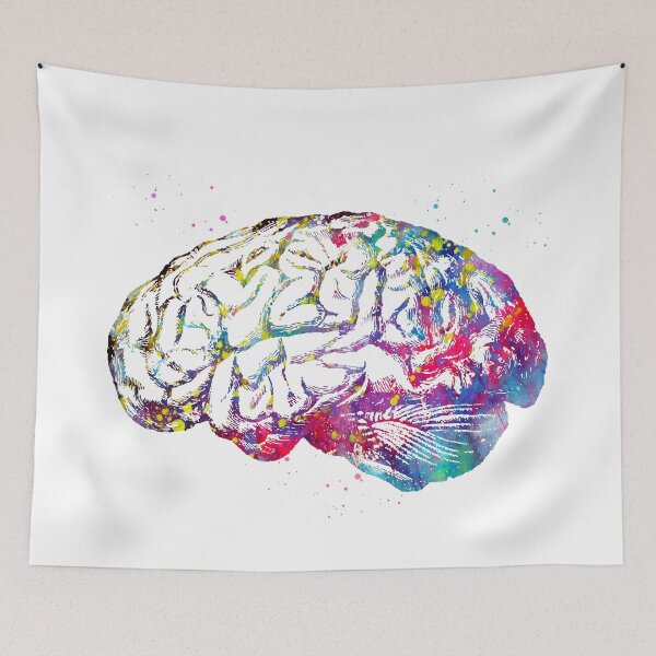 Item preview, Human Brain designed and sold by Liededrom..