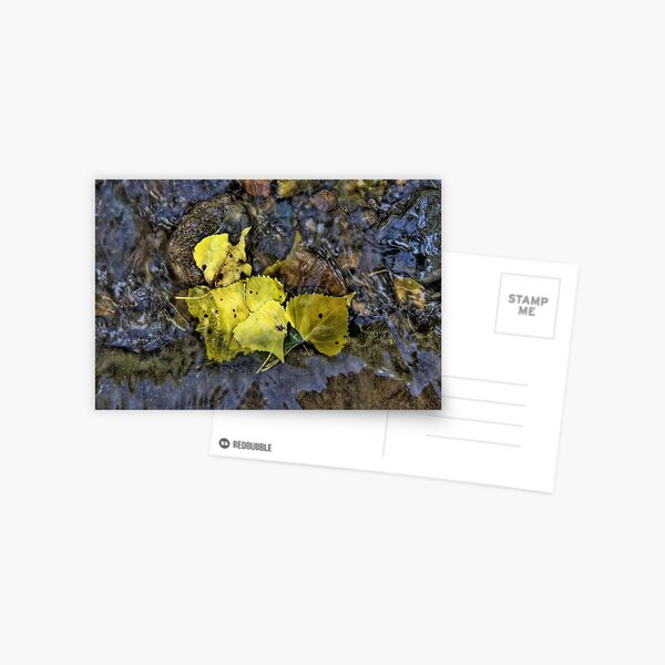 Floating Postcard