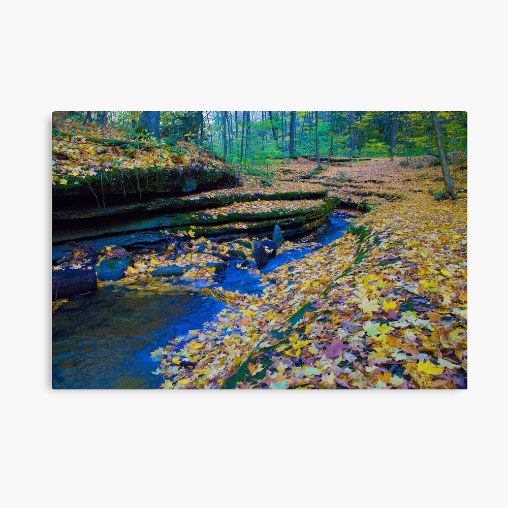 Fallen, not forgotten Canvas Print