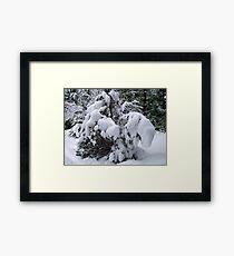 Snow Load Framed Print
