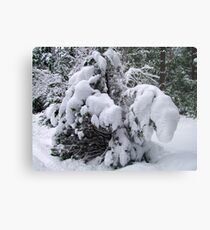 Snow Load Metal Print