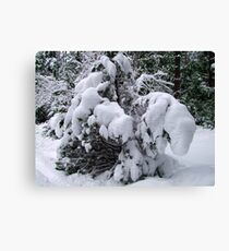 Snow Load Canvas Print