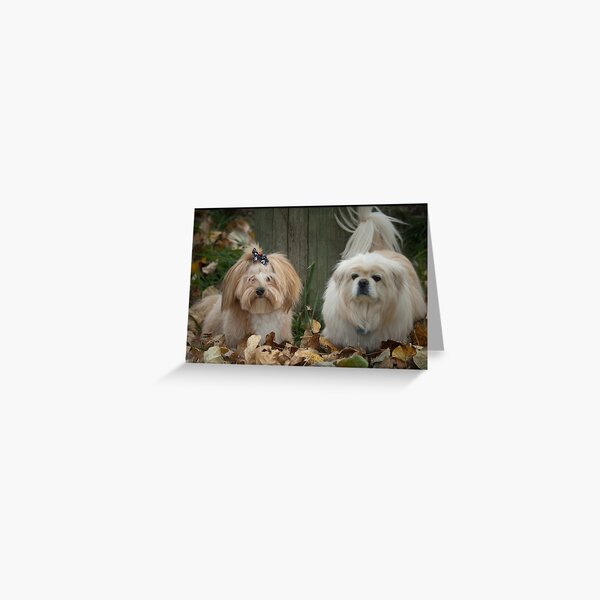Happy Holloween Greeting Card