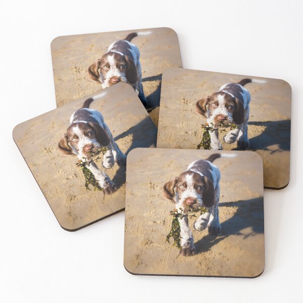 Item preview, Seaweed Puppy Spinone  designed and sold by FOLK ART FUSION by heidiannemorris.