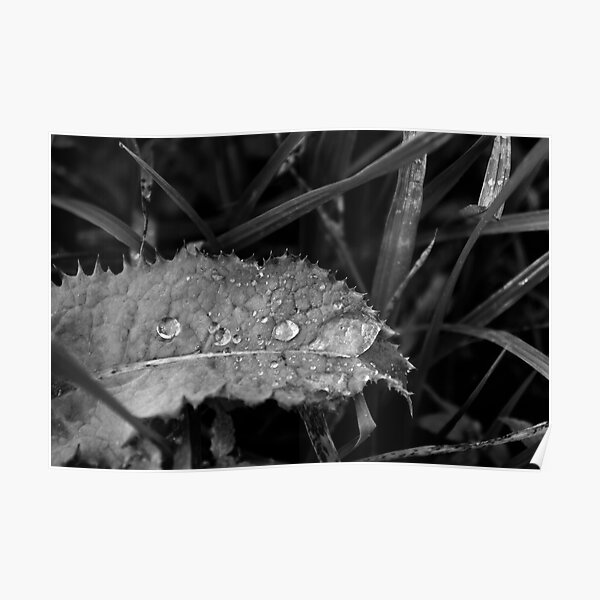 "Black and white sheet" Poster for Sale by Miipics Redbubble