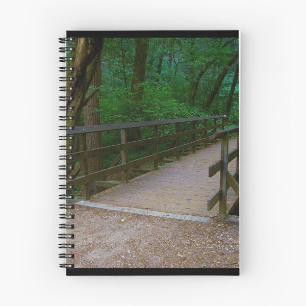 Item preview, The old bridge designed and sold by MRMiller96.