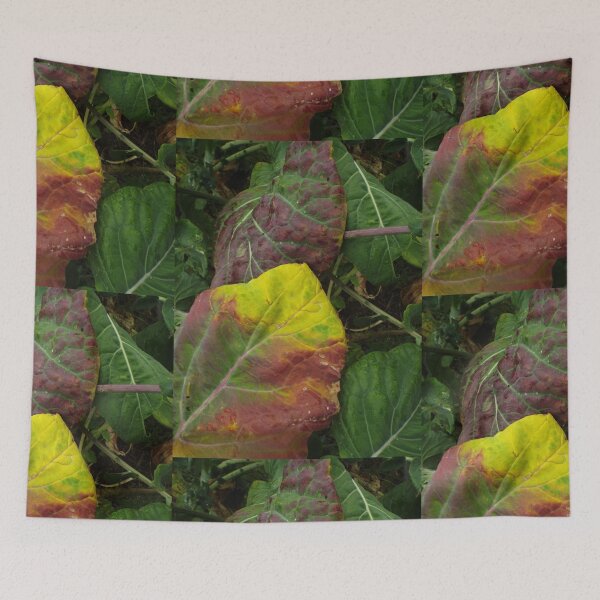 Item preview, Brassica Fairy Garden designed and sold by MeyrellesMartin.